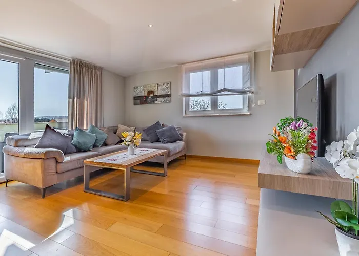 Sanny Andy * Medulin